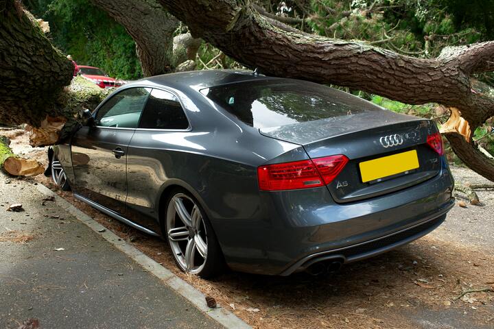 Motor Insurance
